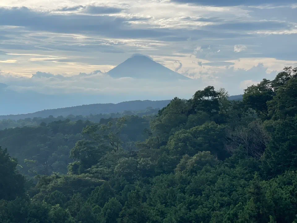 Mount Fuji rising through mist above a forested landscape