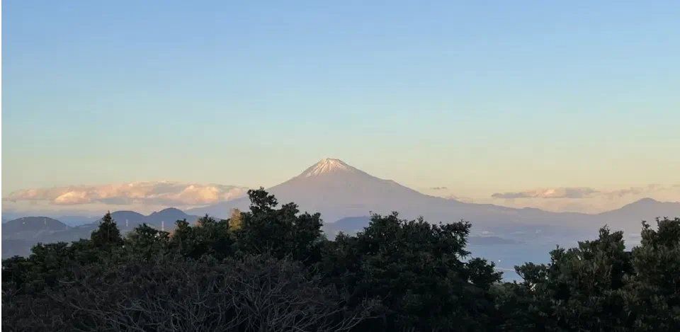 Mount Fuji viewed from a forested ridgeline at sunrise