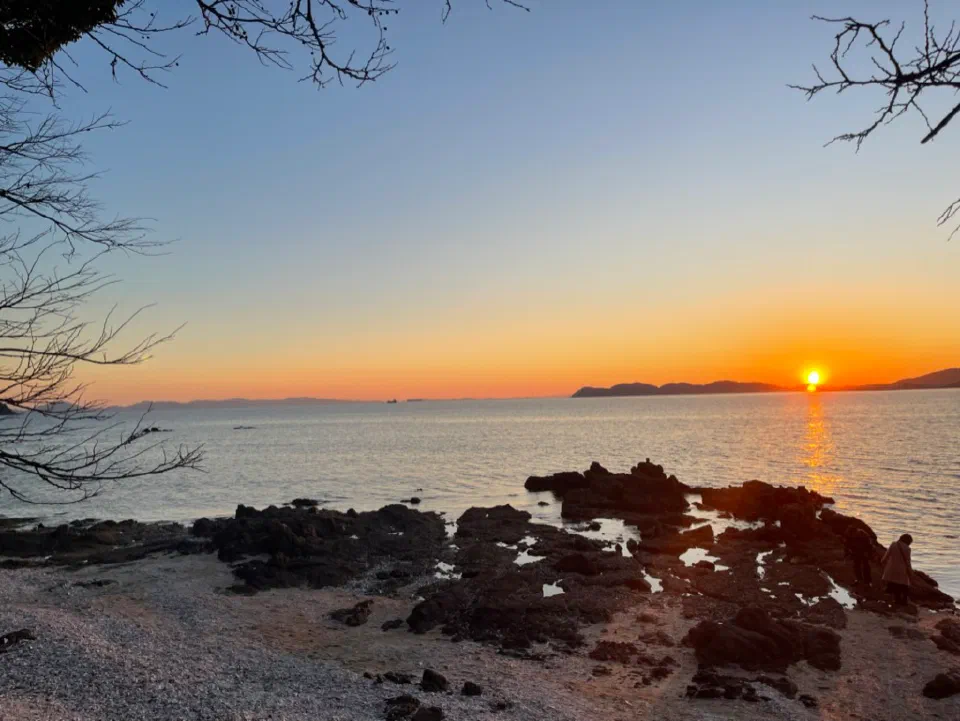 Sunset over a rocky shoreline with tree branches framing the sky